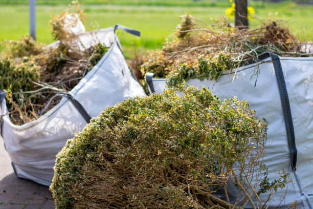 Best Furniture Removal Near Me  in Lennox, SD